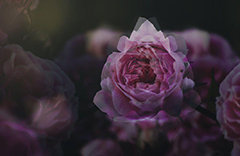 Instagram #